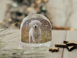 Boule de neige avec photo