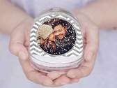 Boule de neige photo