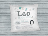 Coussin photo