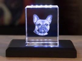 Personnes, animaux et texte en 3D