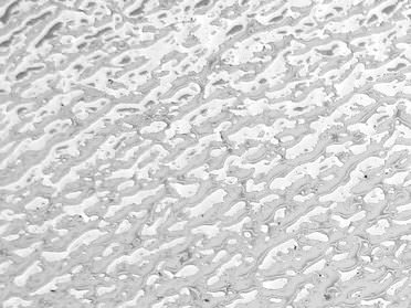 Surface du verre noble