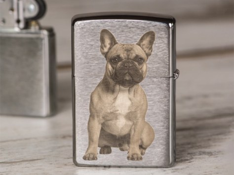 Briquet Zippo avec photo chien